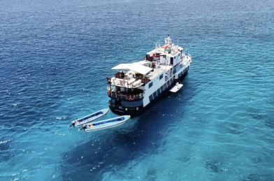Dolphin Liveaboard