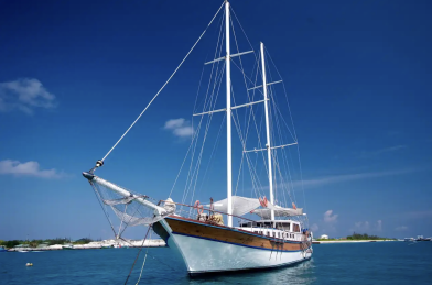 Ensis Felicity