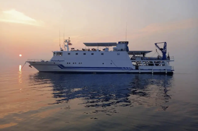 Palau Sport