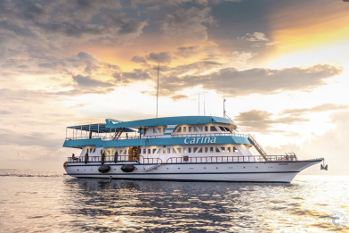 Carina Maldives