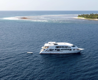 Maldives Mosaique