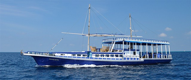 Sea Coral