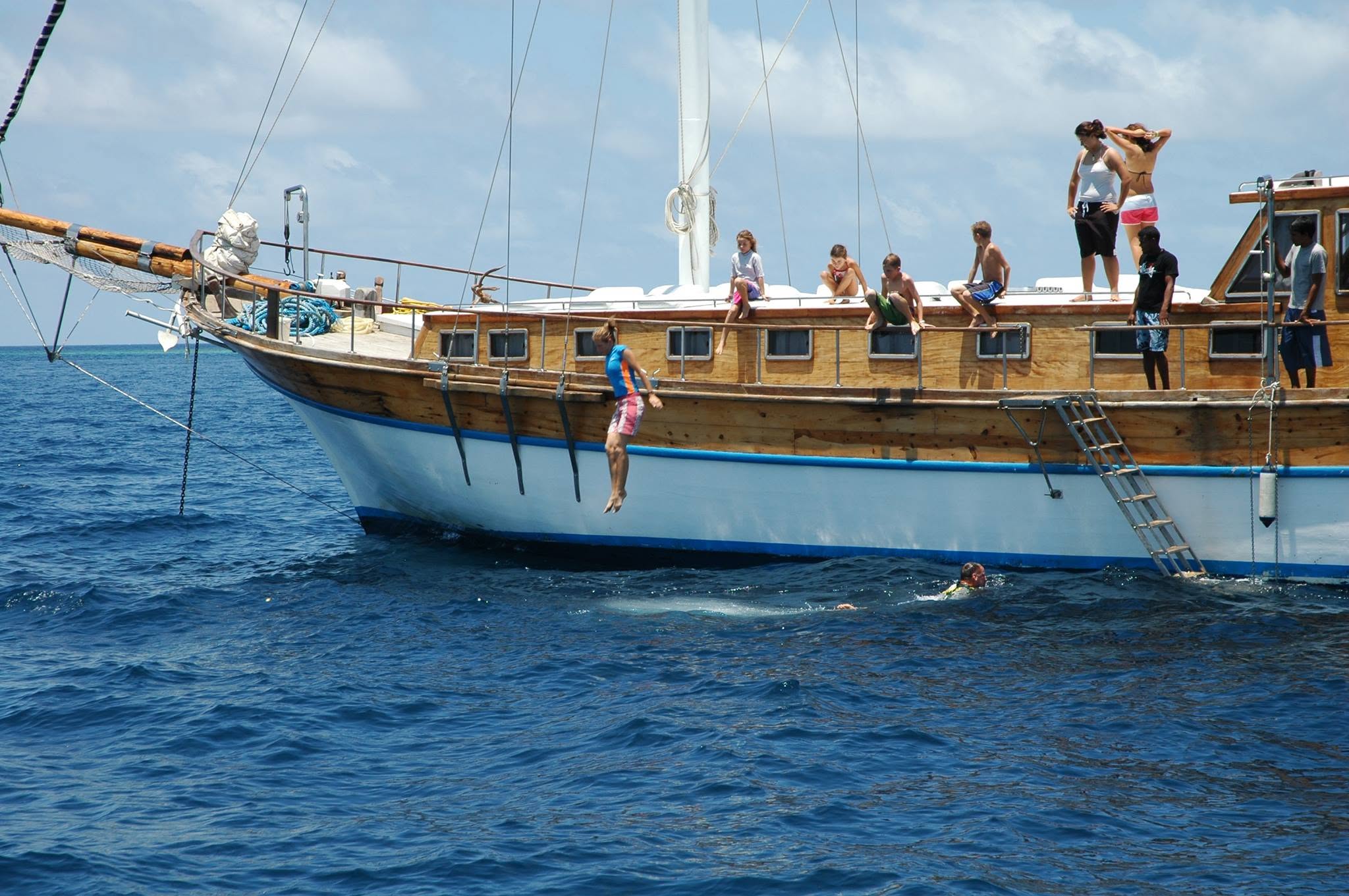 Ensis Felicity