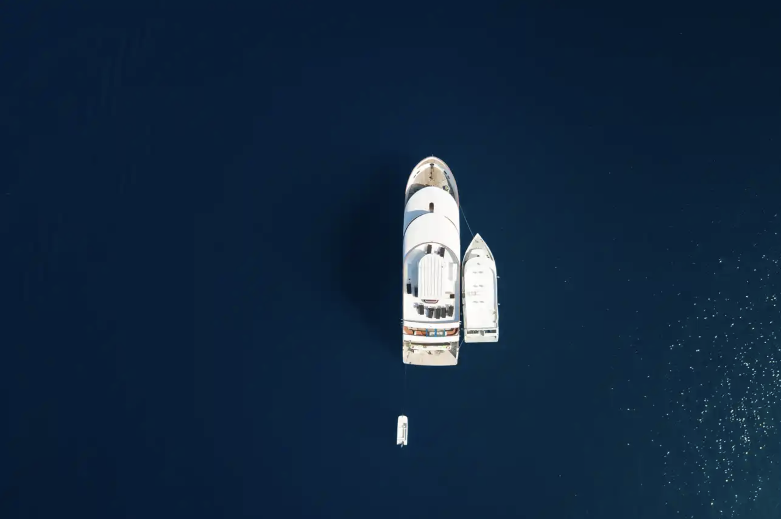 Carpe Vita