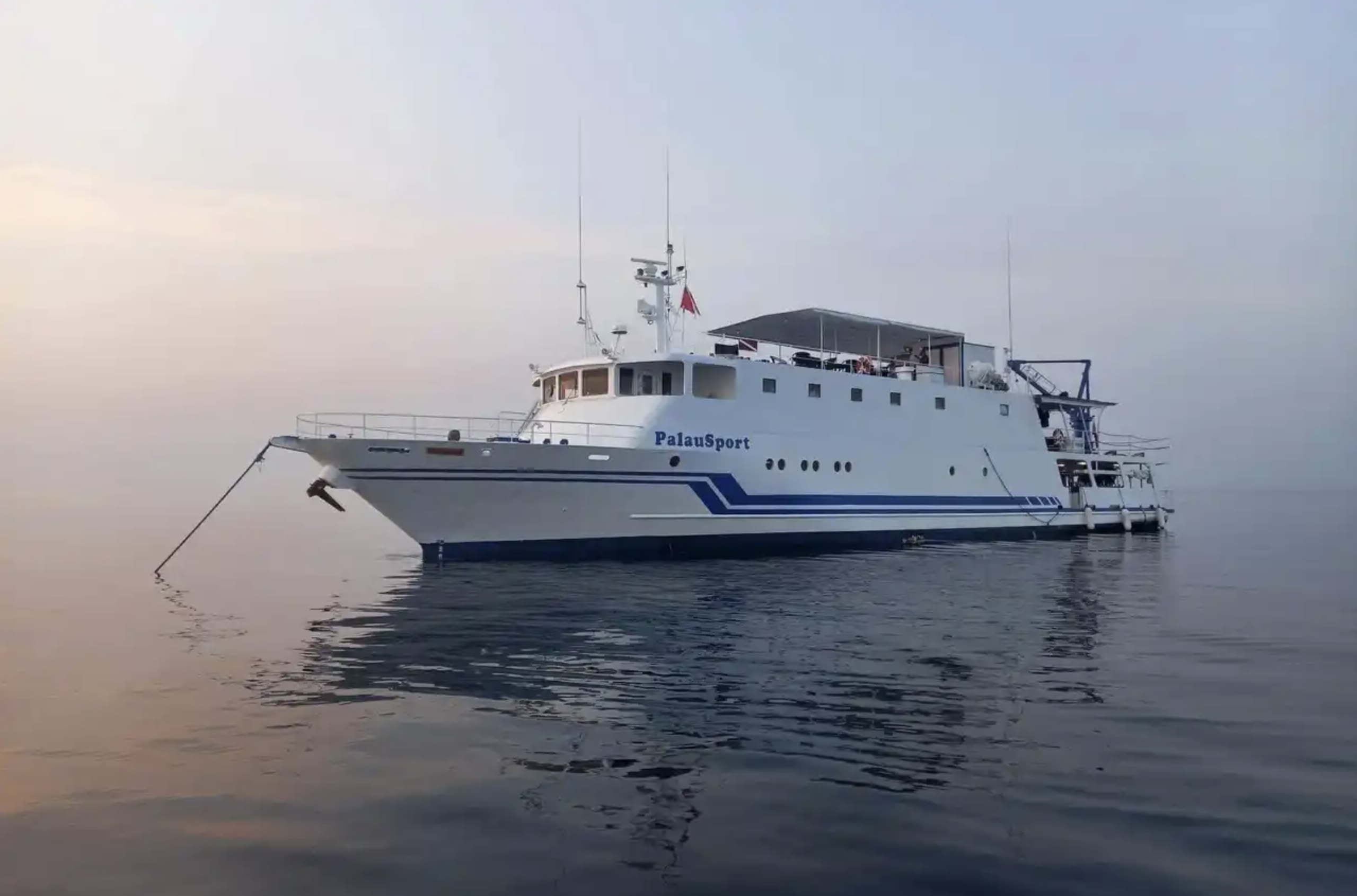 Palau Sport