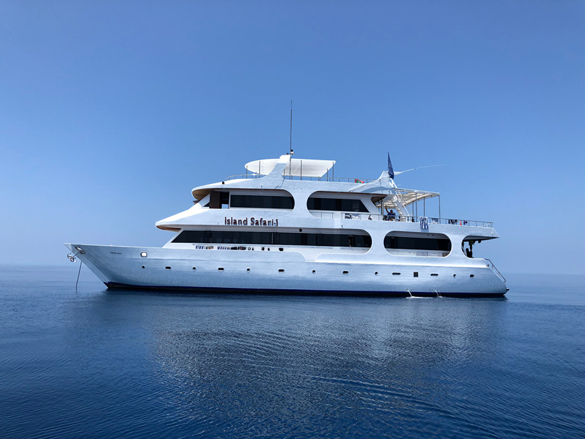 Island Safari 1