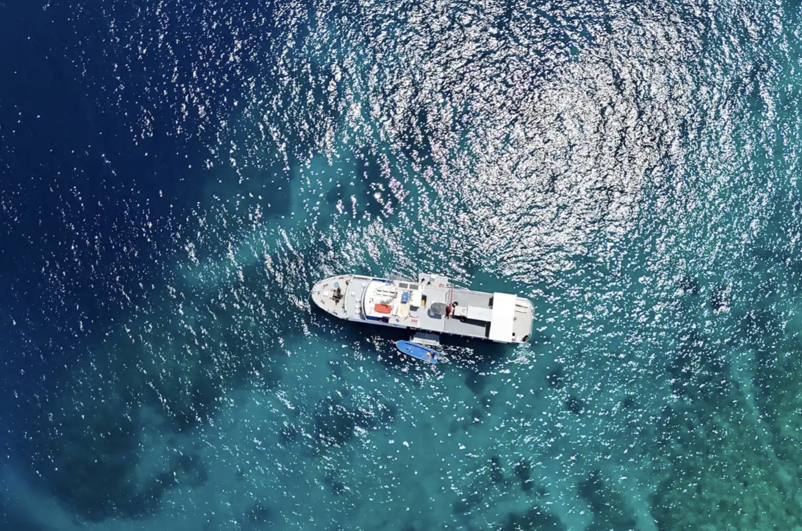 Dolphin Liveaboard