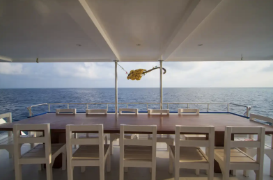 Sea Farer