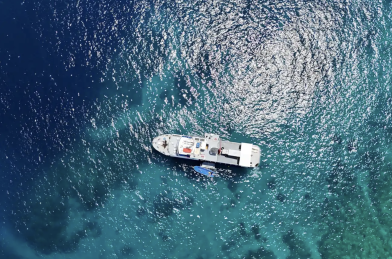 Dolphin Liveaboard