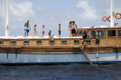 Ensis Felicity