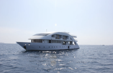 Maldives Mosaique